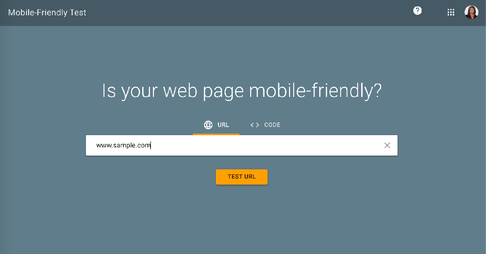 Google Website Mobile Friendly Test