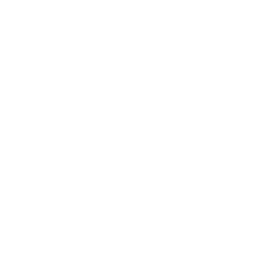 PP&P-logo