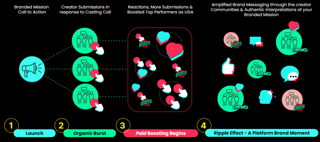 tiktok Branded Hashtag Challenges ads tiktok Branded Hashtag Challenges ads